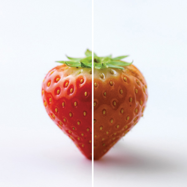 Strawberry showing high color rendering index (CRI) and low CRI